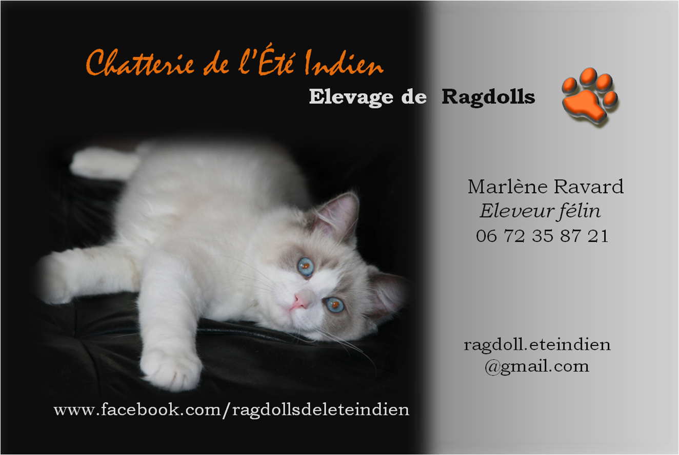 Cartevisite