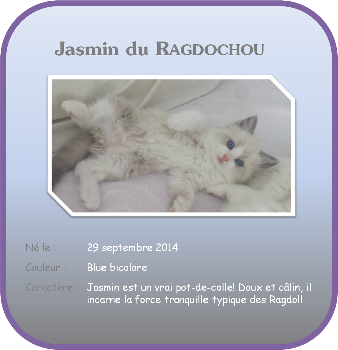 Jasmin site 1