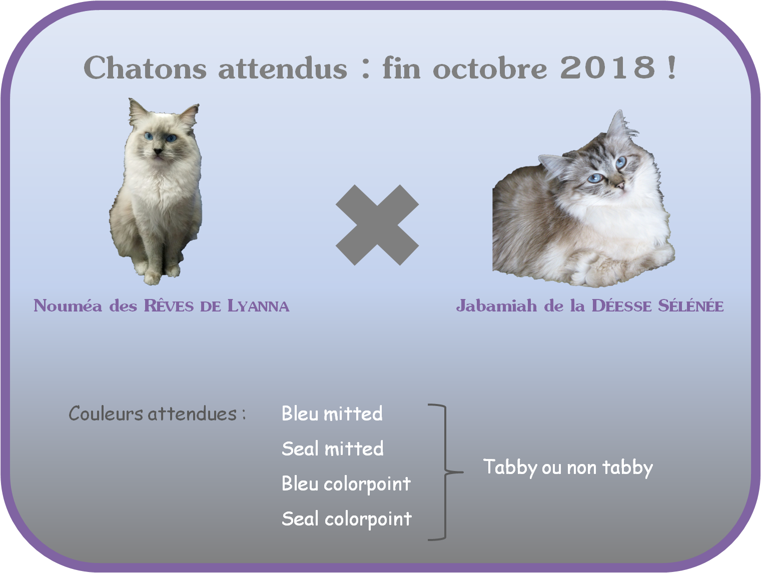 Mariage 2018 jabamiahxnoumea