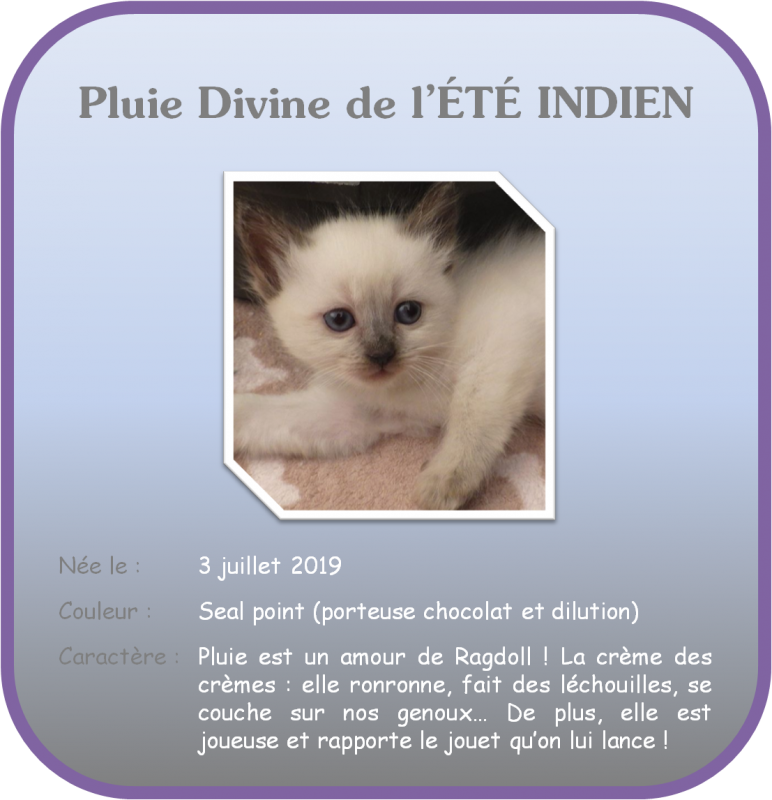 Pluie site 1