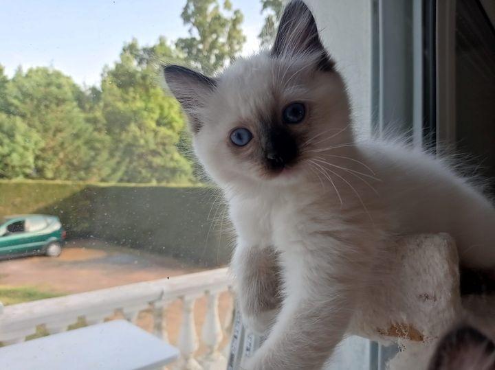 Tiboutchou5